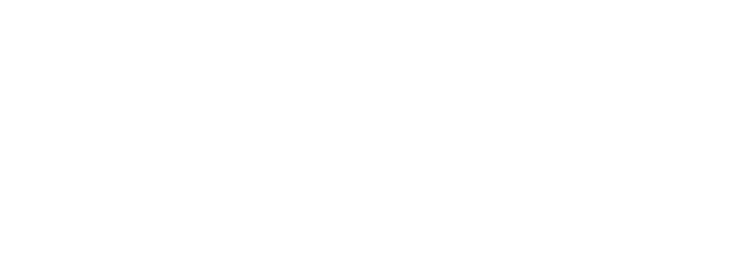 Portfolio Day